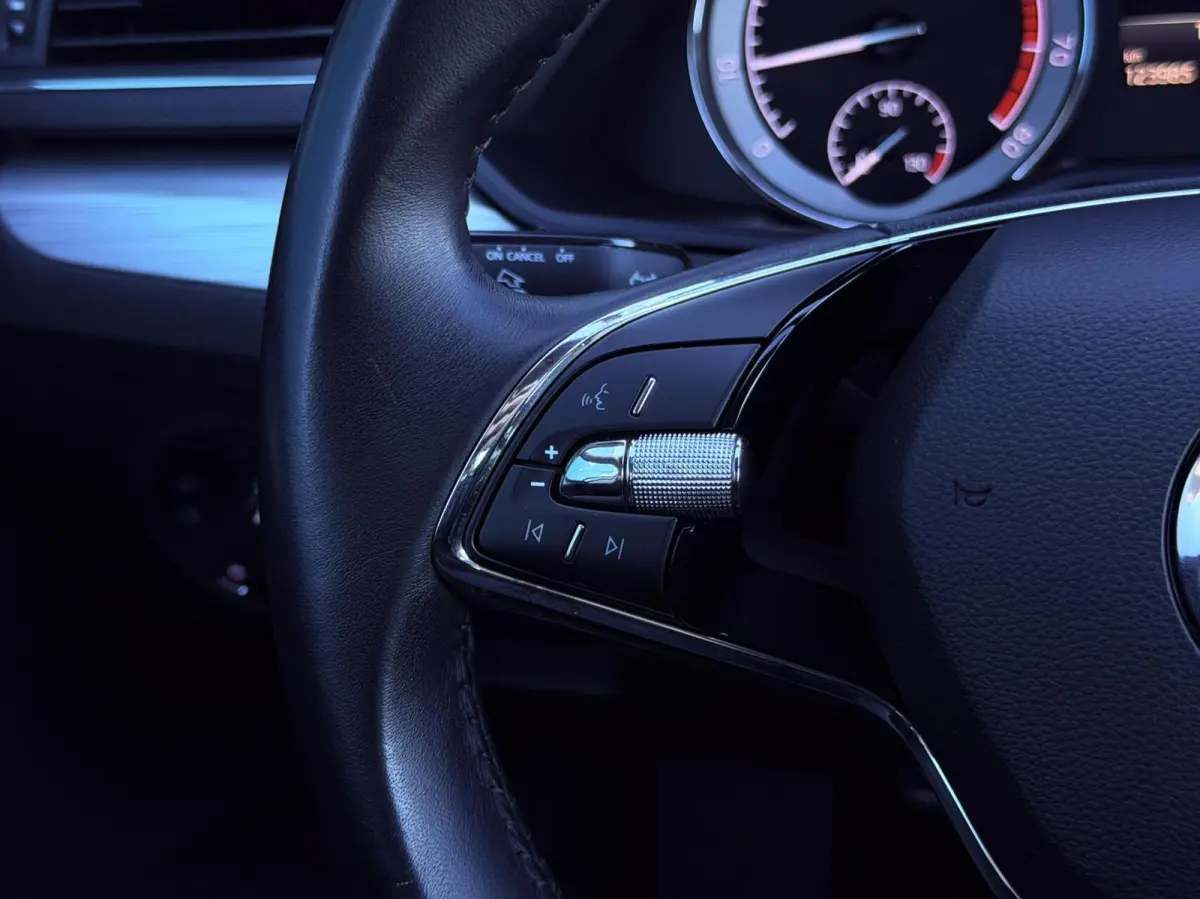 1.5 TSI DSG AUT. Business Edition CARPLAY | TREKH | CRUISE | NAV | DAB | PDC | LMV
