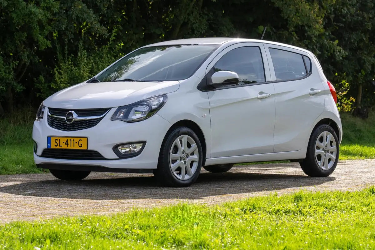1.0 ecoFLEX Edition 2e Eigenaar +NAP NL-auto