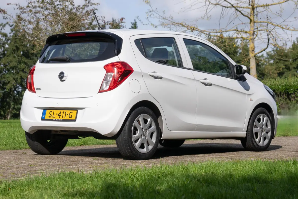 1.0 ecoFLEX Edition 2e Eigenaar +NAP NL-auto