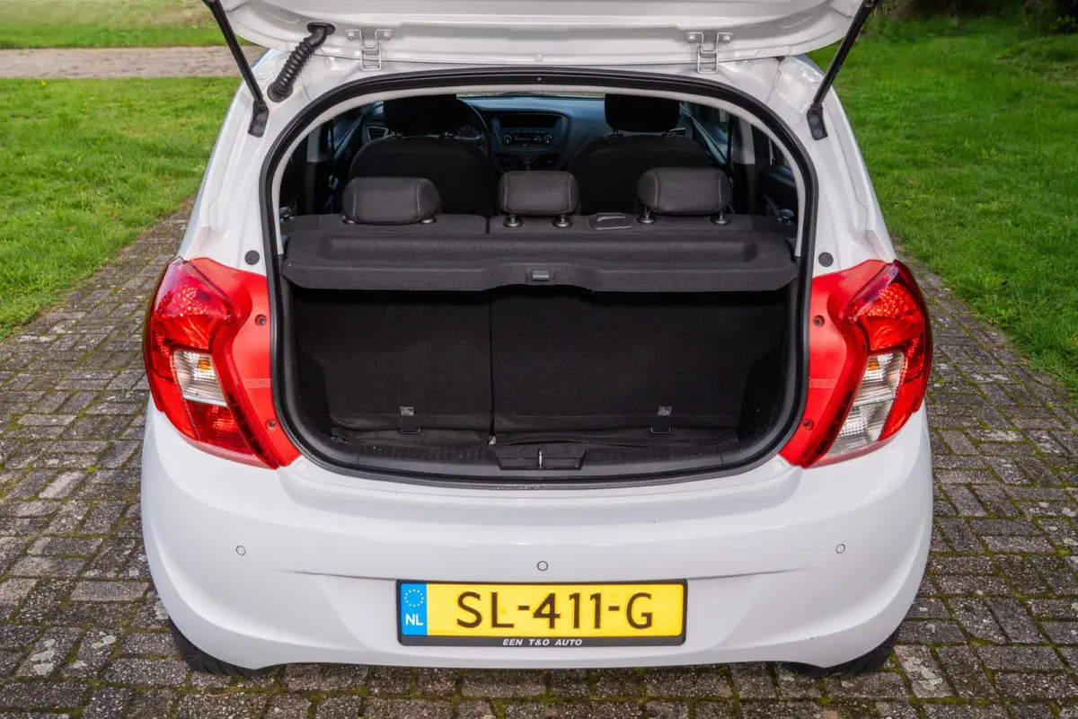 1.0 ecoFLEX Edition 2e Eigenaar +NAP NL-auto