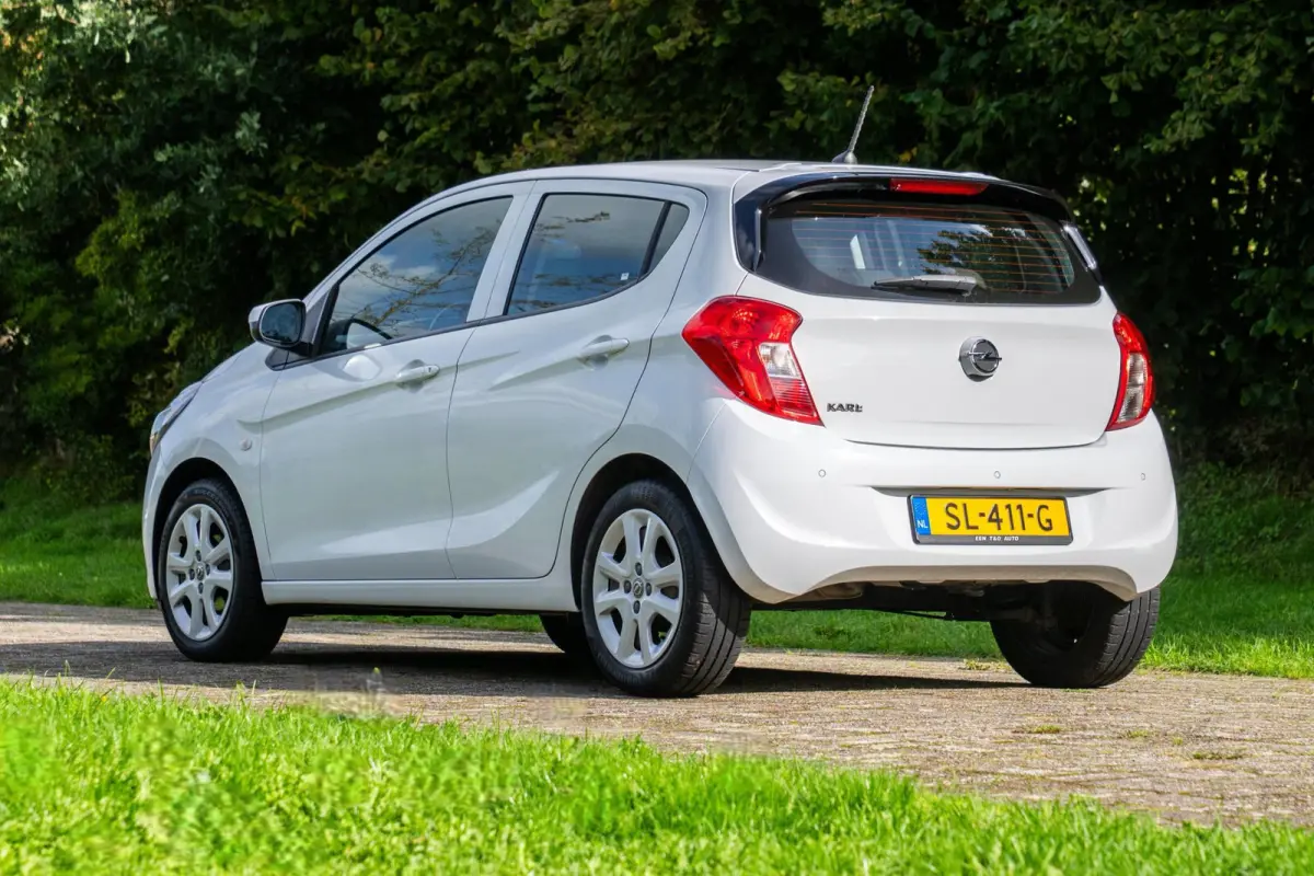 1.0 ecoFLEX Edition 2e Eigenaar +NAP NL-auto