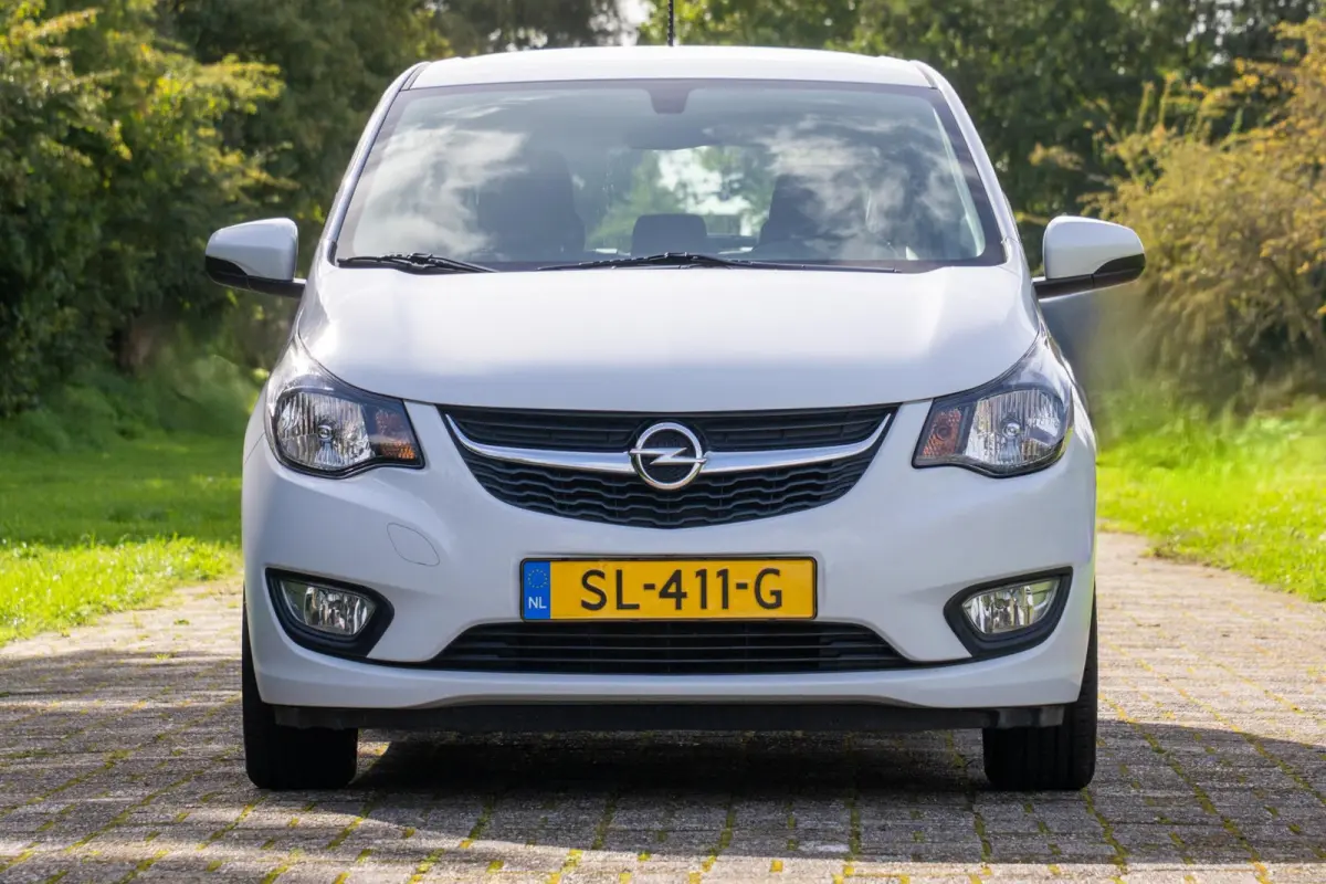 1.0 ecoFLEX Edition 2e Eigenaar +NAP NL-auto