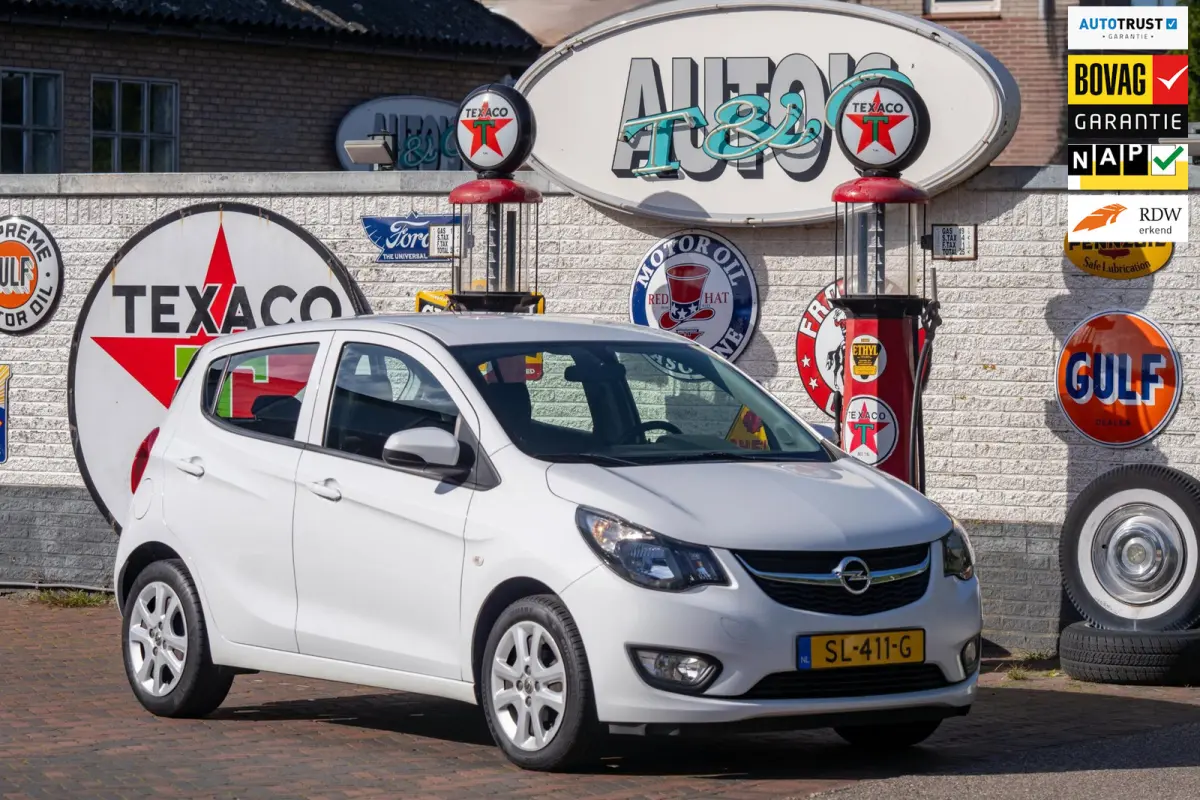 1.0 ecoFLEX Edition 2e Eigenaar +NAP NL-auto
