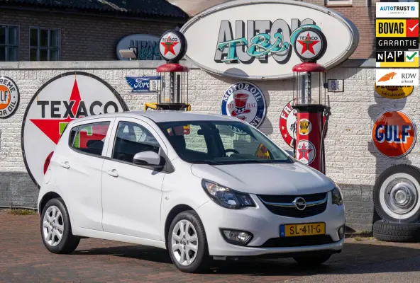 1.0 ecoFLEX Edition 2e Eigenaar +NAP NL-auto