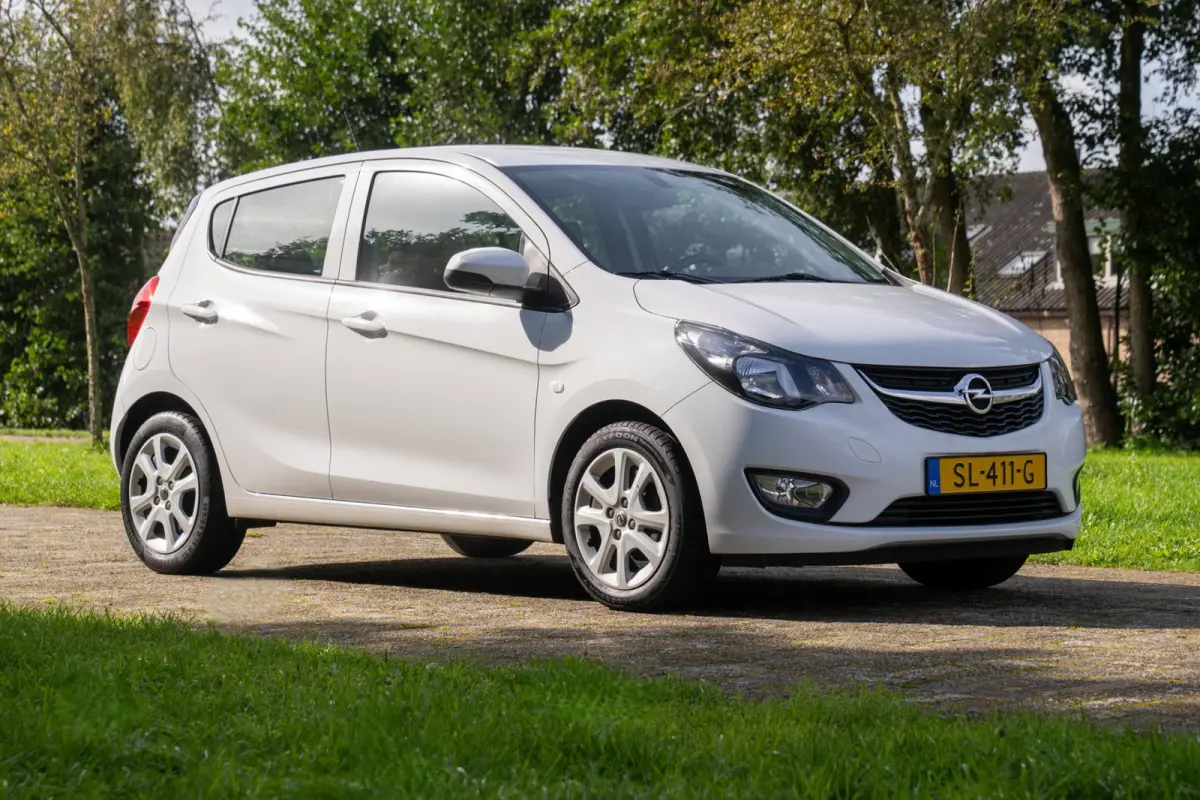 1.0 ecoFLEX Edition 2e Eigenaar +NAP NL-auto