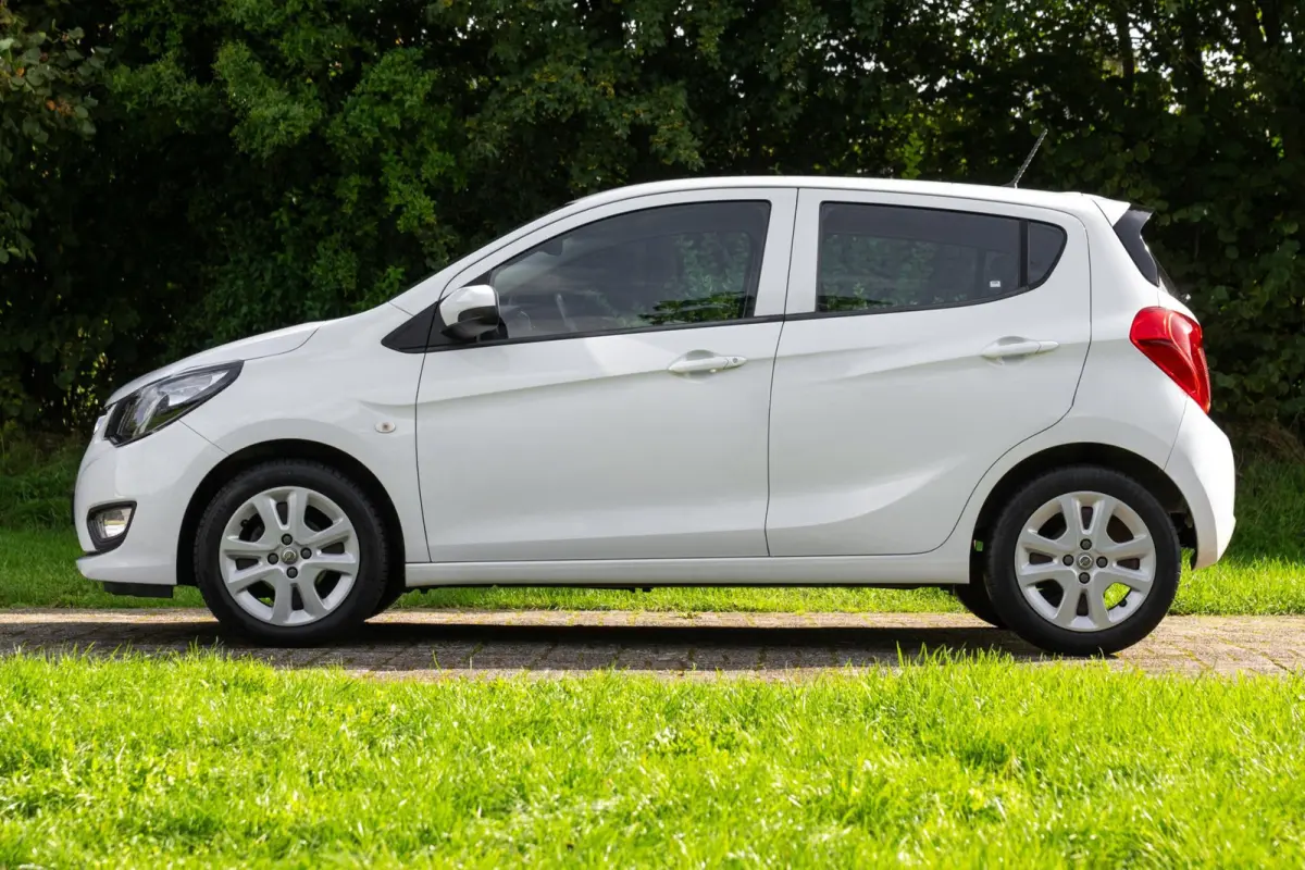 1.0 ecoFLEX Edition 2e Eigenaar +NAP NL-auto