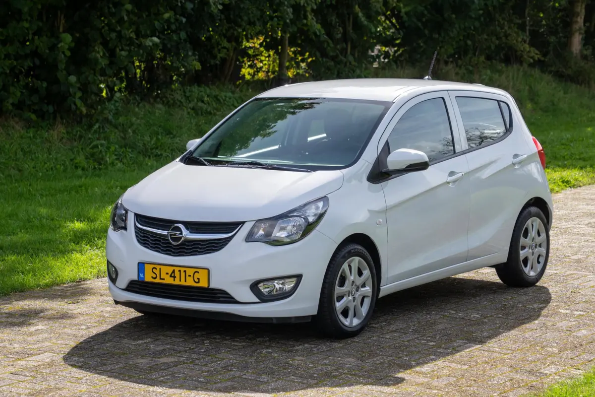 1.0 ecoFLEX Edition 2e Eigenaar +NAP NL-auto