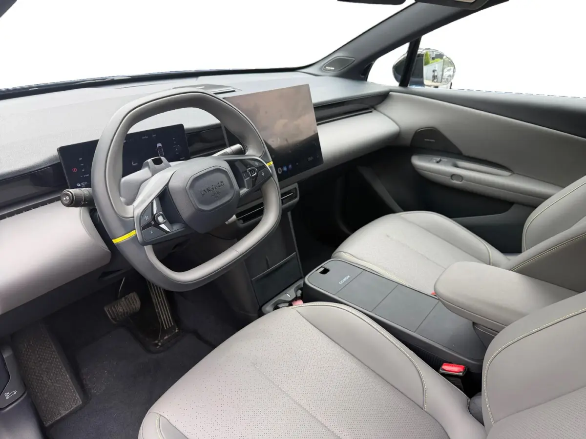 More 66 kWh 360 Camera | Panodak | Addaptive cruise control | Stuur + stoelverwarming | Rest fabrieksgarantie