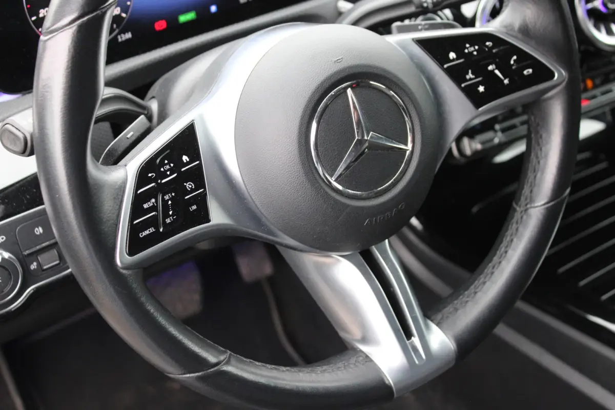 250e AUT8 Luxury Line (FACELIFT) LEDER SFEER NAVI TREKHAAK