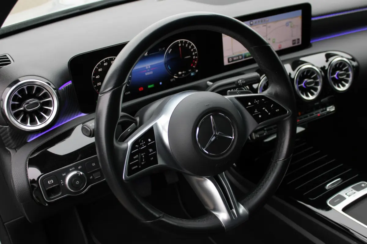 250e AUT8 Luxury Line (FACELIFT) LEDER SFEER NAVI TREKHAAK