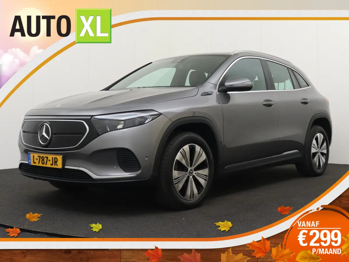 250 Business Solution Luxury 67 kWh (SOH 94%) Sfeerverlichting Camera Cruise
