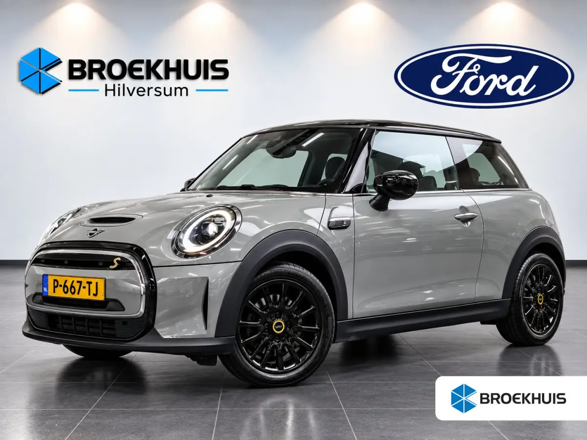 SE Classic. 33 kWh 183pk | Navigatie | Parkeersensoren | SOH 96% |