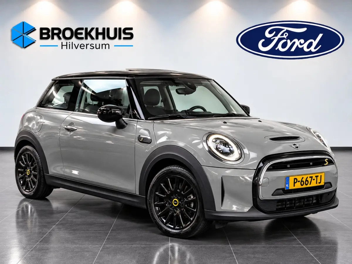 SE Classic. 33 kWh 183pk | Navigatie | Parkeersensoren | SOH 96% |