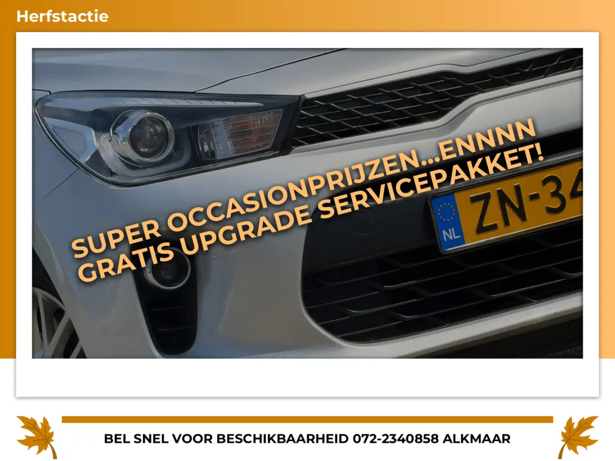 1.0 TGDI DynamicLine - Silky Silver - Camera/Carplay/Cruise - Fris
