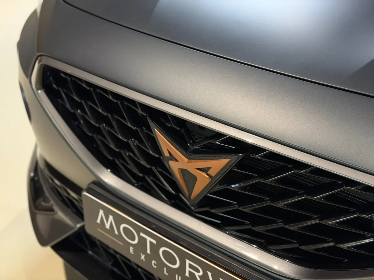 1.4 e-Hybrid VZ Copper Edition|Sfeer|Camera|Keyless|ACC|Bovag Garantie