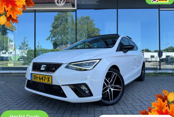 1.0 TSI FR Business Intense - Automaat - Pano/Schuifdak - Alcantara - Org.NL