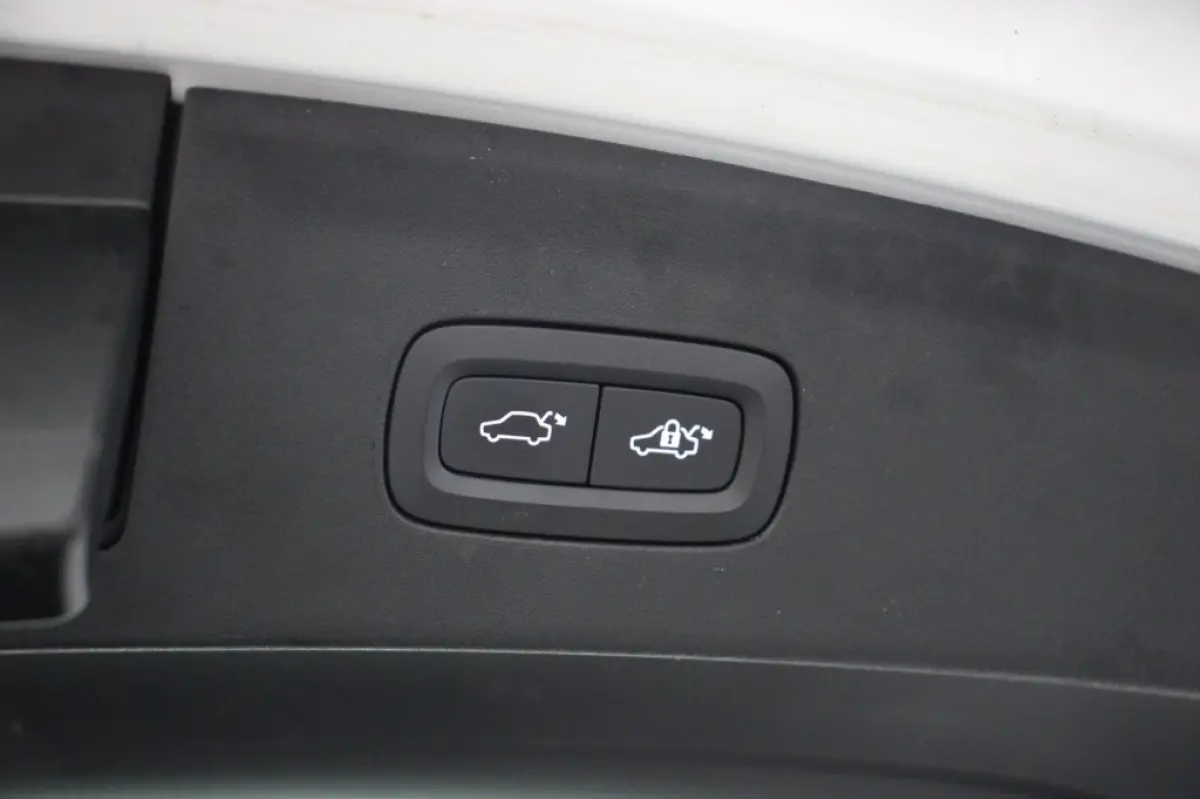 Standard Range Single Motor 63kWh - Carplay, Camera, Stoel/Stuur verwarming SOH 93,57%
