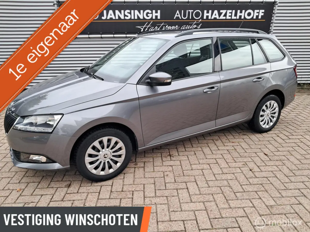 1.0 TSI Ambition van 1e Eigenaar!