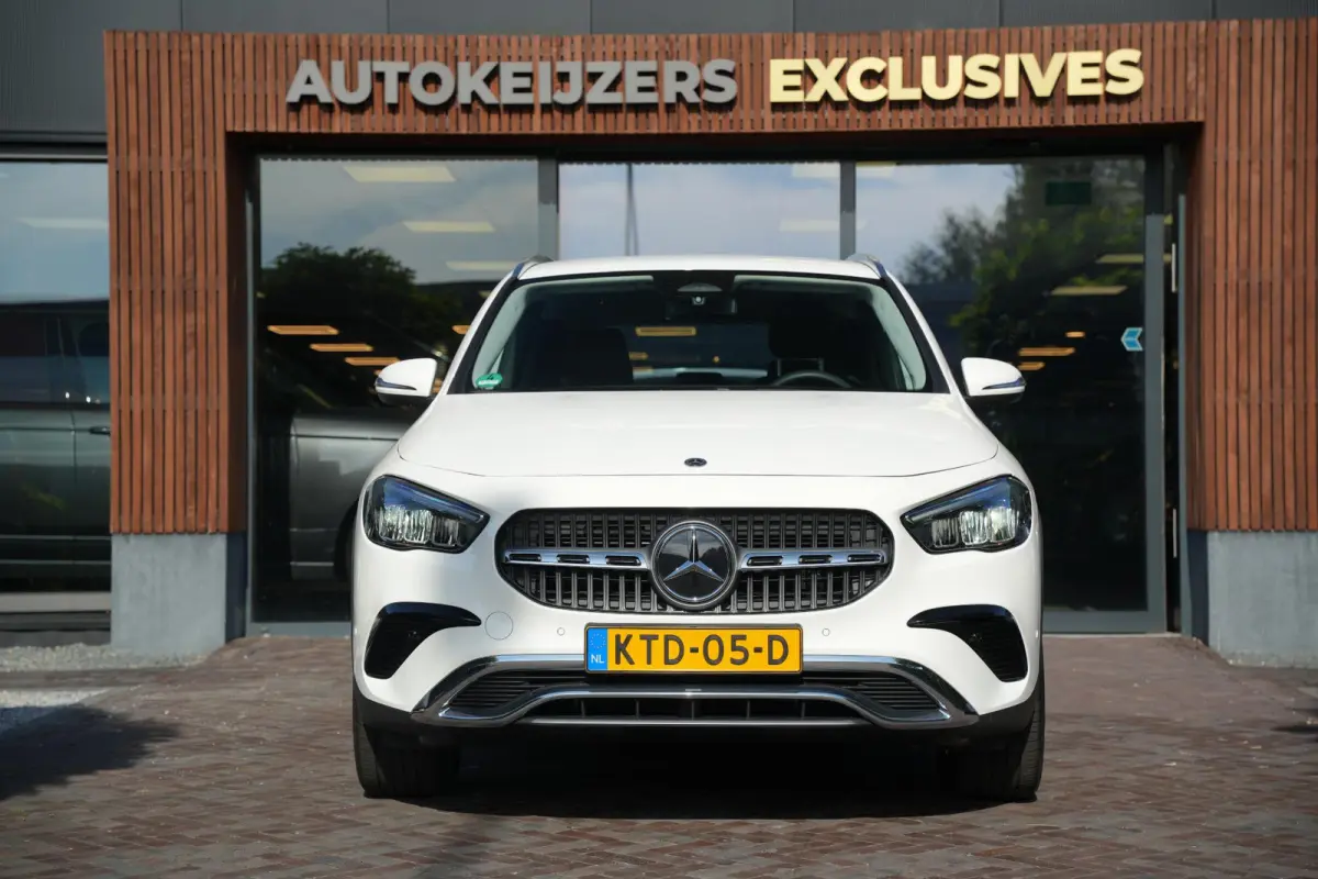 250 e Business Solution Adapt. Cruise Stoelverw. LED Dodehoek