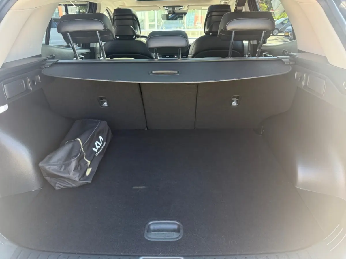 1.6 T 230 PK Hybride DynamicPlus Line | panoramadak