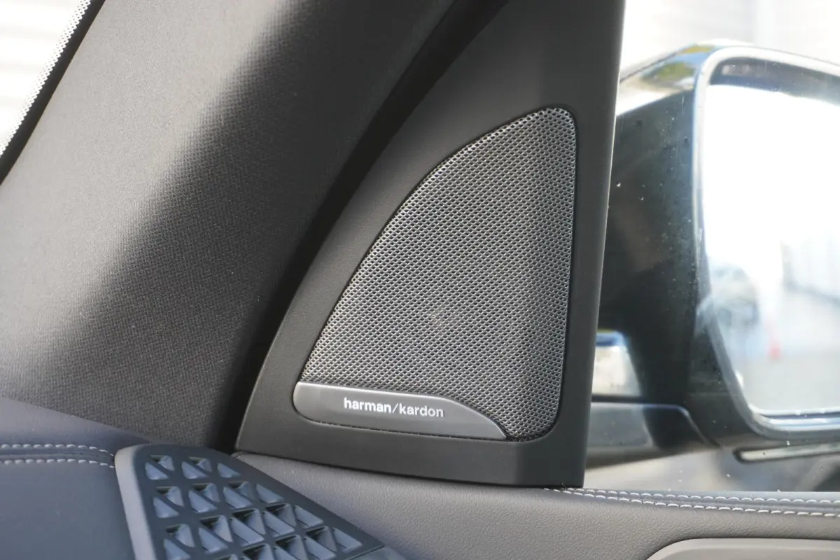 xDrive50e | SoH 100% | M Sportpakket | Driving Assistant Professional | Harman/Kardon Surround Sound systeem | Panoramadak