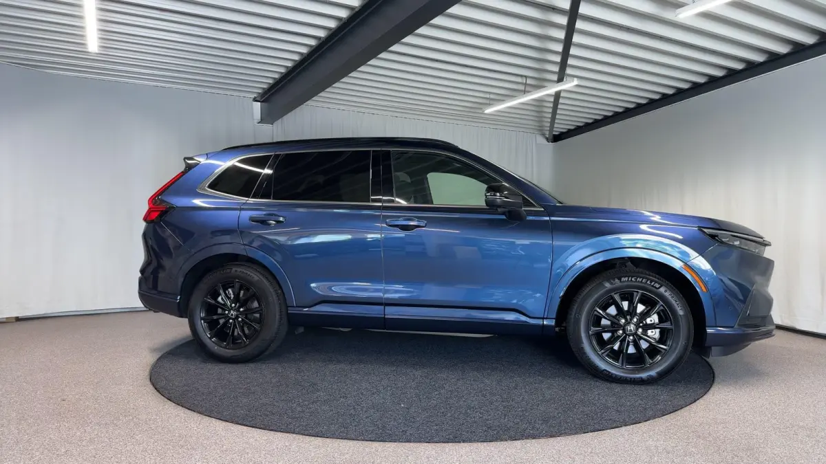 2.0 e:PHEV Advance Tech Automaat | Leder | Pano | SOH 100%
