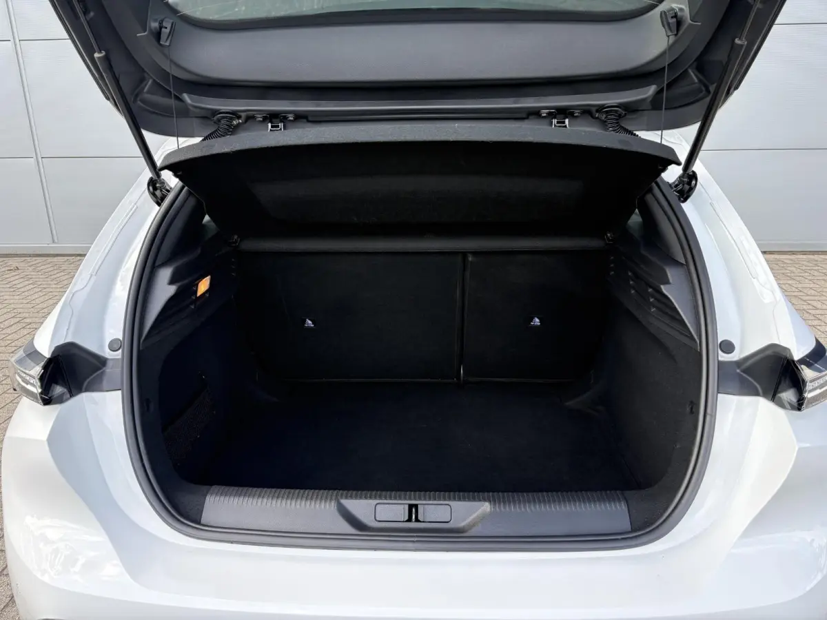 1.2 PureTech Active Pack Business | Navigatie | Parkeerhulp | Cruise Control | Apple Carplay/Android Auto