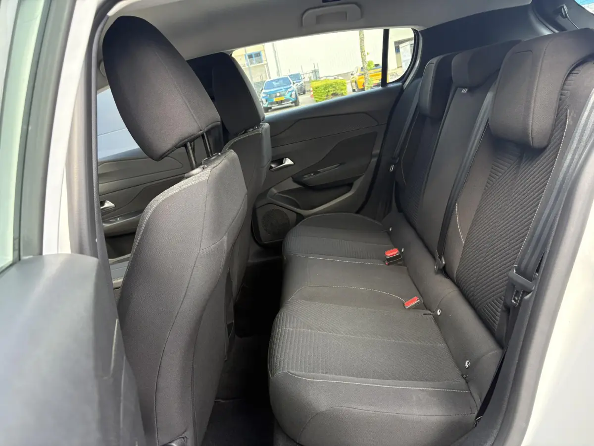 1.2 PureTech Active Pack Business | Navigatie | Parkeerhulp | Cruise Control | Apple Carplay/Android Auto