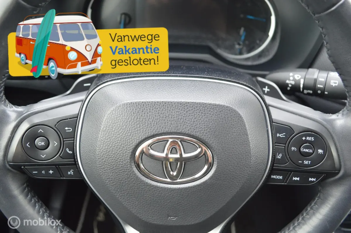 2.5 Hybrid AWD Business Plus | Trekhaak-1650kg