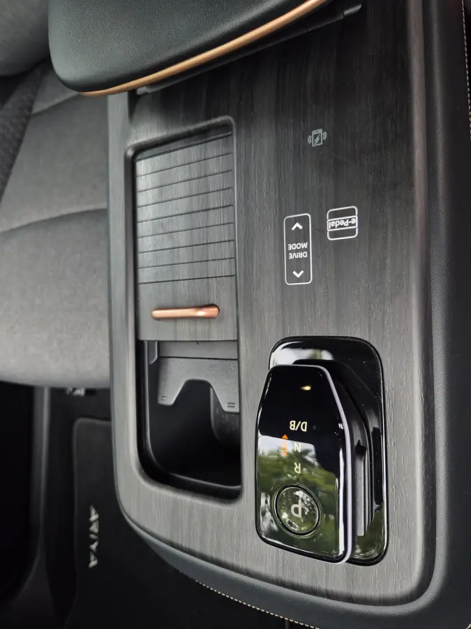 Advance 66 kWh SOH 98% volle optielijst 360* camera ACC Line Assist Dodehoek detectie CarPlay Keyless 1e Eig NAP APK
