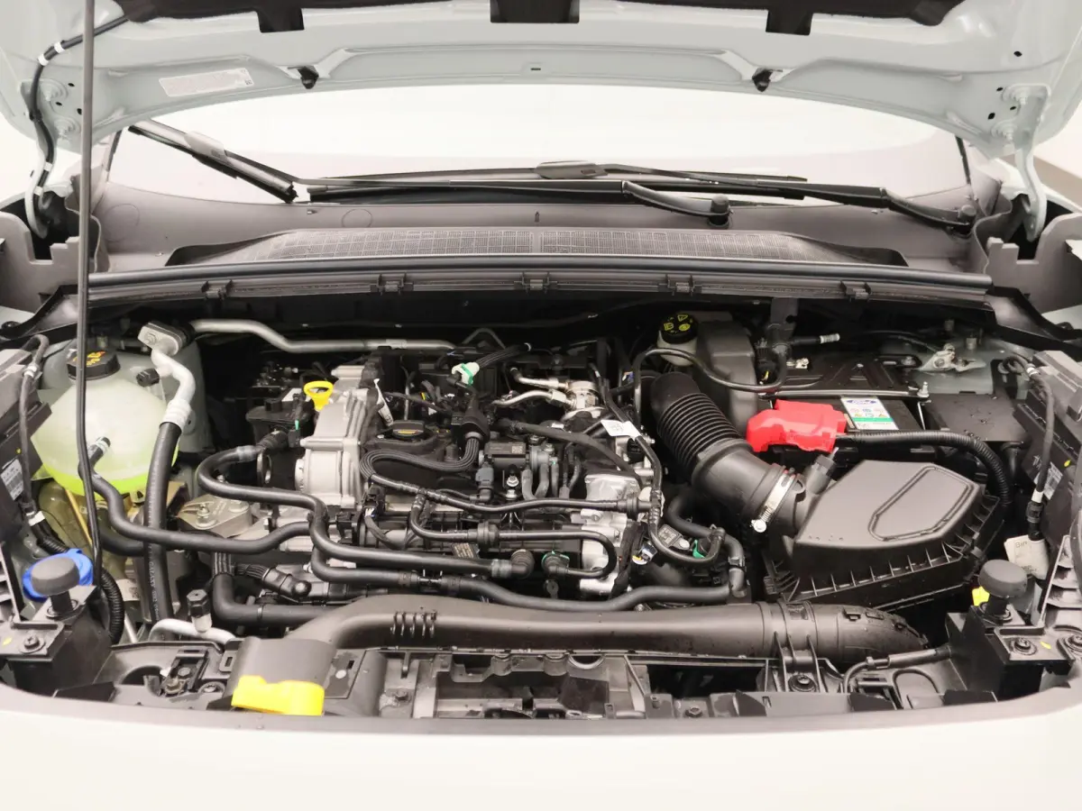 1.0 EcoBoost ST-Line | UIT VOORRAAD LEVERBAAR | Winter Pack | Keyless entry | Elektrische achterklep |