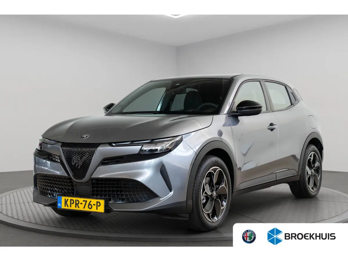 Elettrica 54 kWh | SOH 95% | Apple Carplay & Android Auto | Parkeesensoren | Keyless | Climate Controle | Adaptive Cruise Controle |