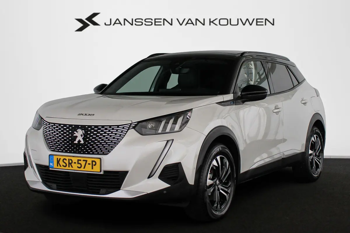 EV GT 50 kWh SOH 100% Panoramadak Stoelverwarming Achteruitrijcamera