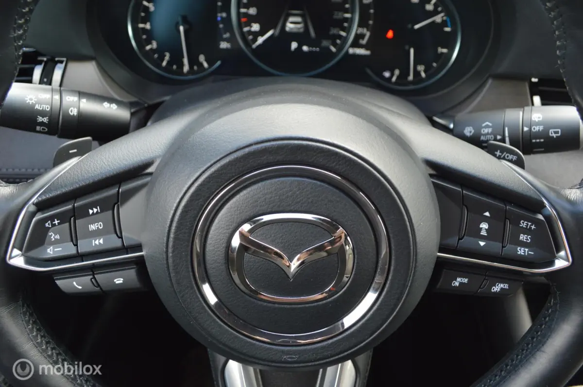 2.5 SkyActiv-G 194 Signature