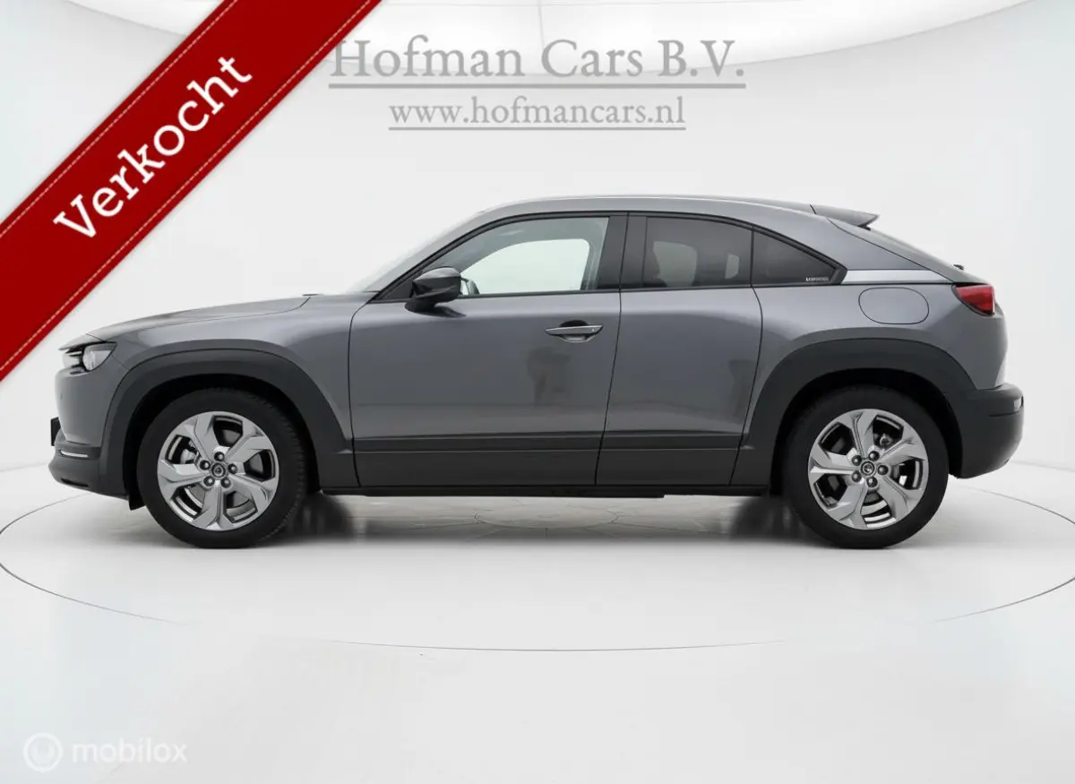 e-SkyActiv 145 - SOH 94% - 36 kWh – NAP – Camera - NL Auto – Fabrieksgarantie batterij