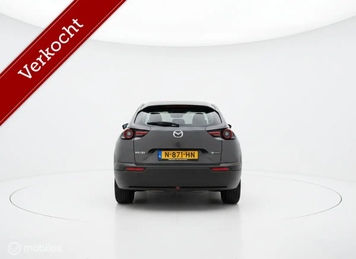 e-SkyActiv 145 - SOH 94% - 36 kWh – NAP – Camera - NL Auto – Fabrieksgarantie batterij