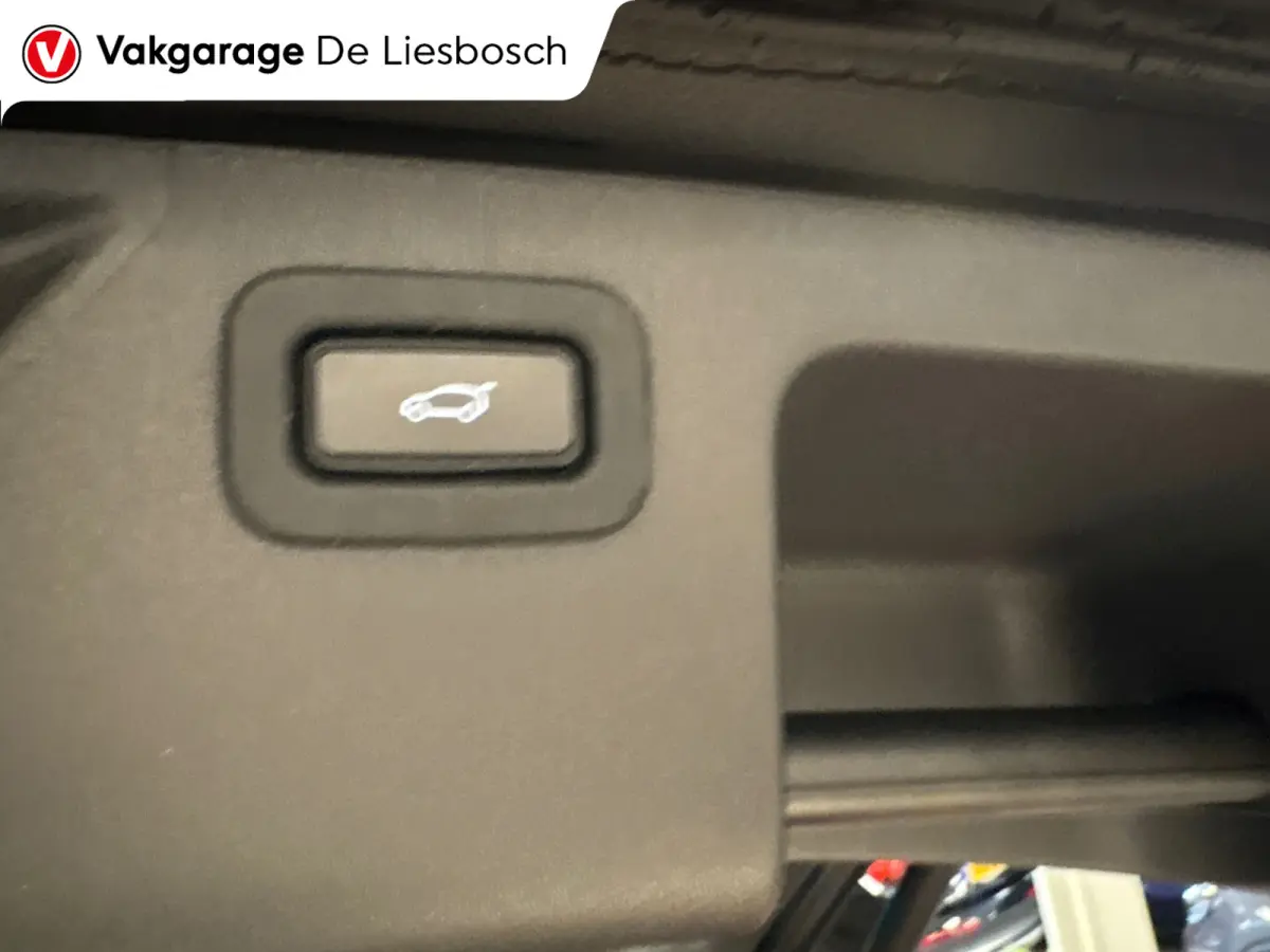P300e 1.5 R-Dynamic SE/leer/navi/camera/elc klep/boeken