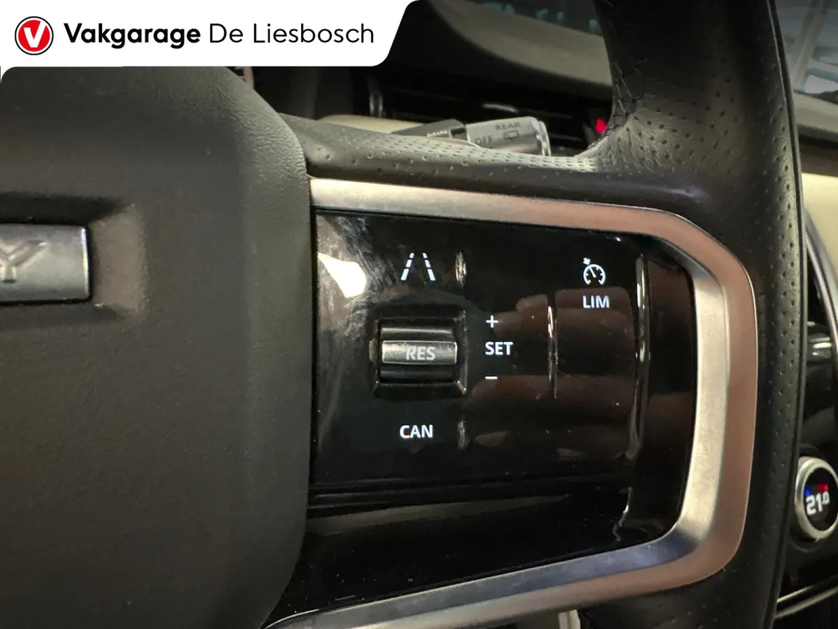 P300e 1.5 R-Dynamic SE/leer/navi/camera/elc klep/boeken