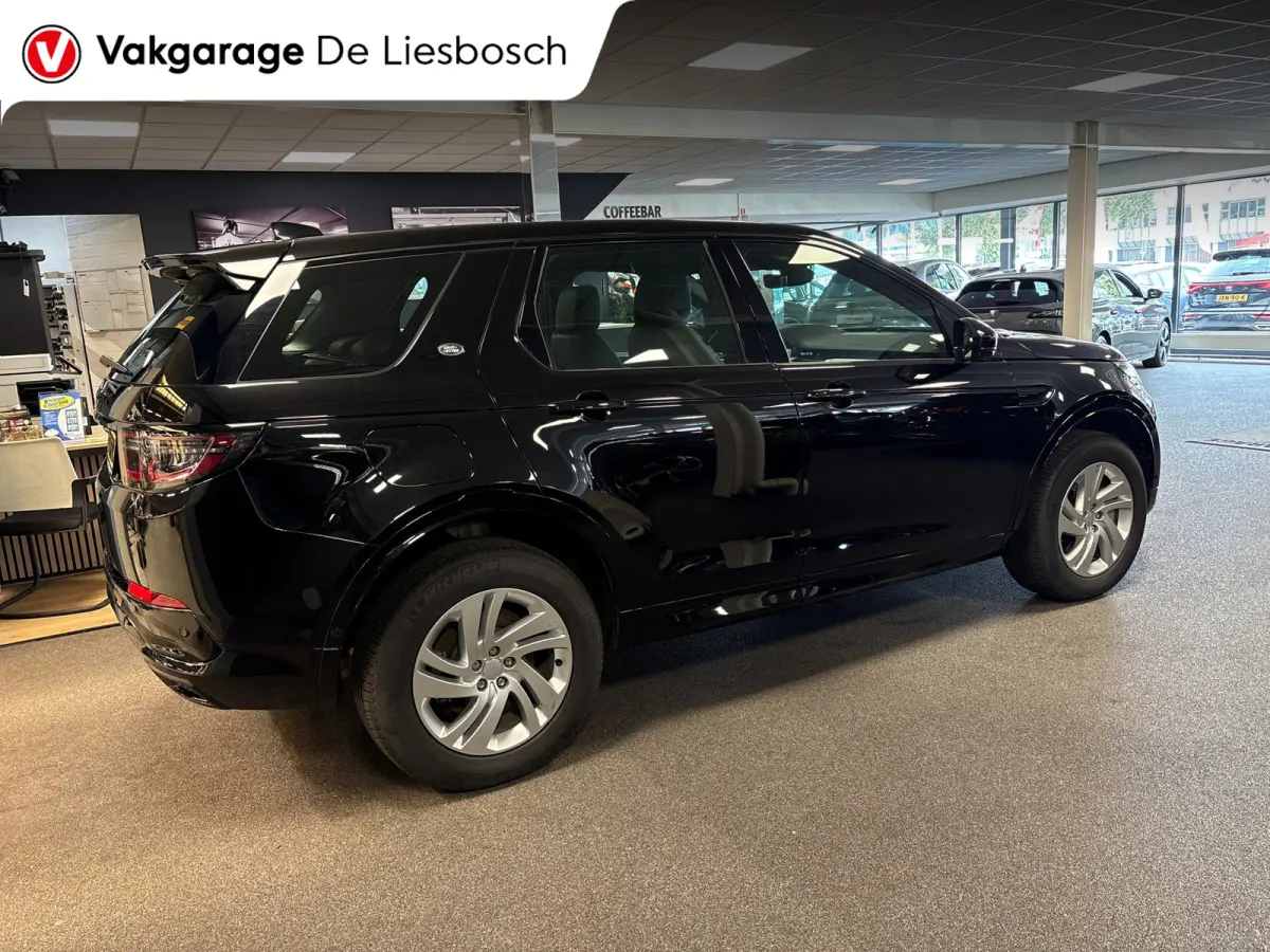 P300e 1.5 R-Dynamic SE/leer/navi/camera/elc klep/boeken