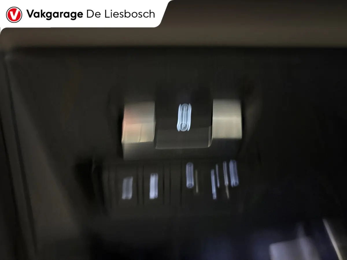 P300e 1.5 R-Dynamic SE/leer/navi/camera/elc klep/boeken