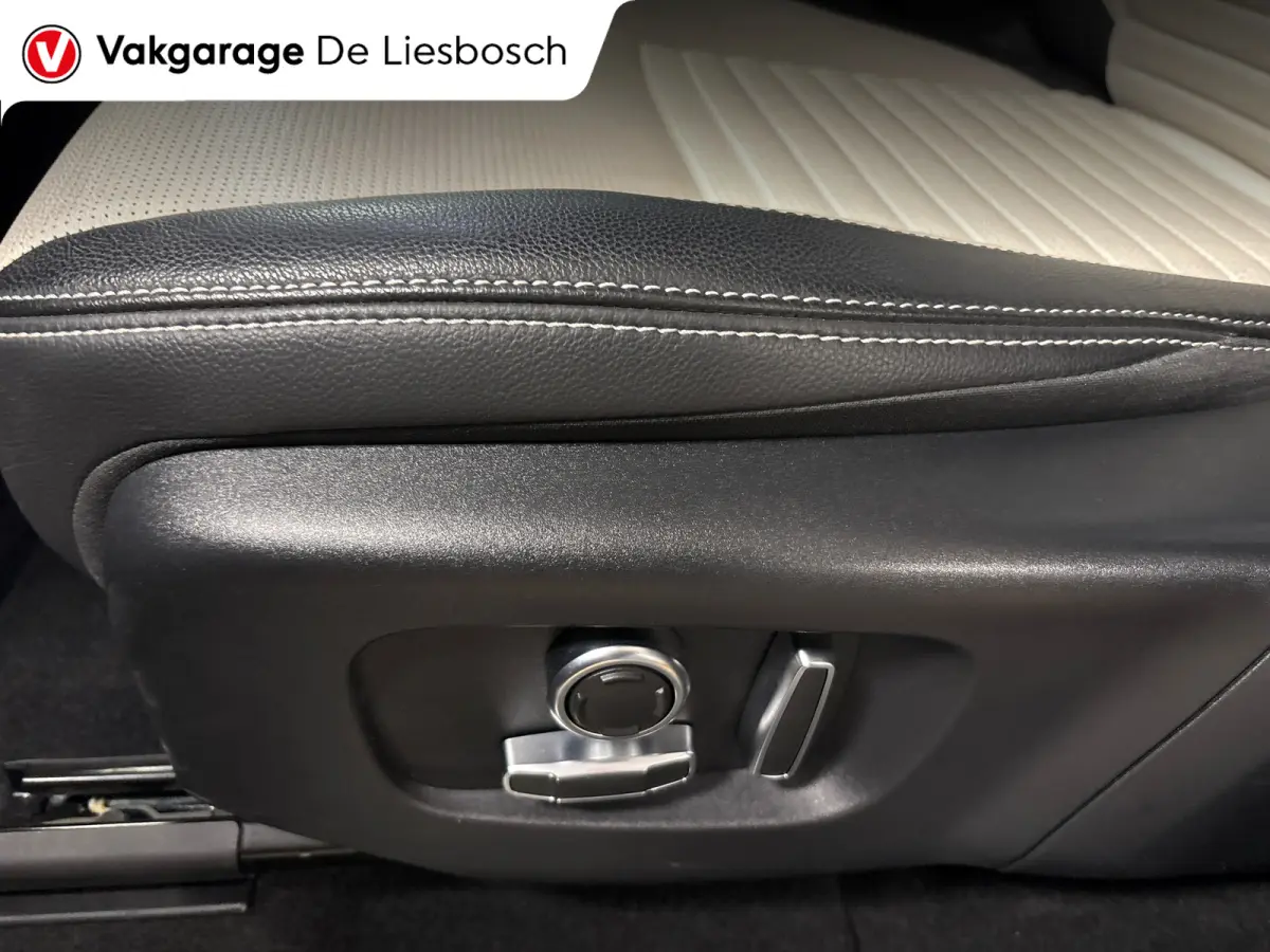 P300e 1.5 R-Dynamic SE/leer/navi/camera/elc klep/boeken