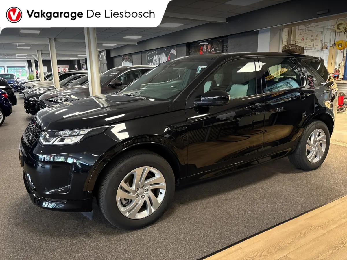 P300e 1.5 R-Dynamic SE/leer/navi/camera/elc klep/boeken