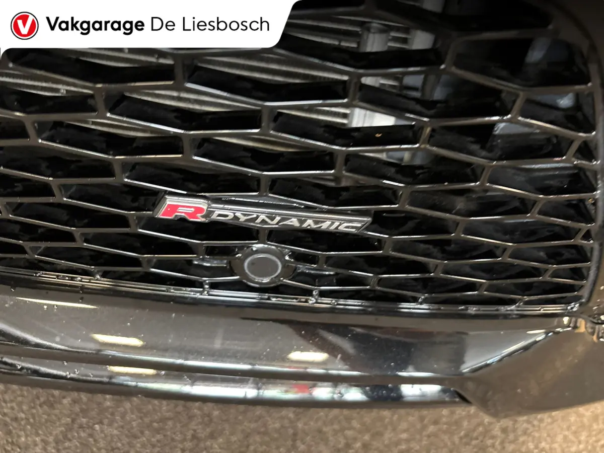 P300e 1.5 R-Dynamic SE/leer/navi/camera/elc klep/boeken