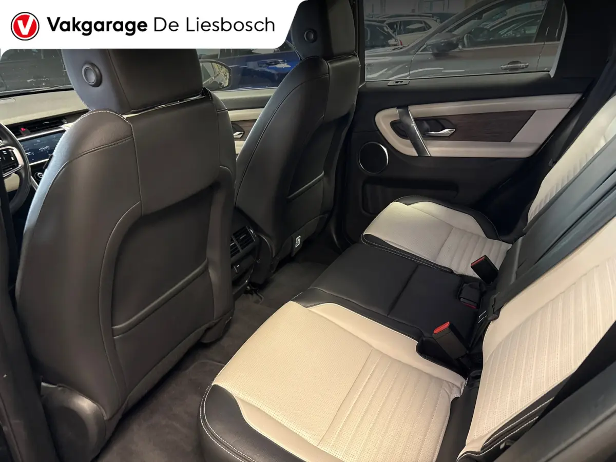 P300e 1.5 R-Dynamic SE/leer/navi/camera/elc klep/boeken