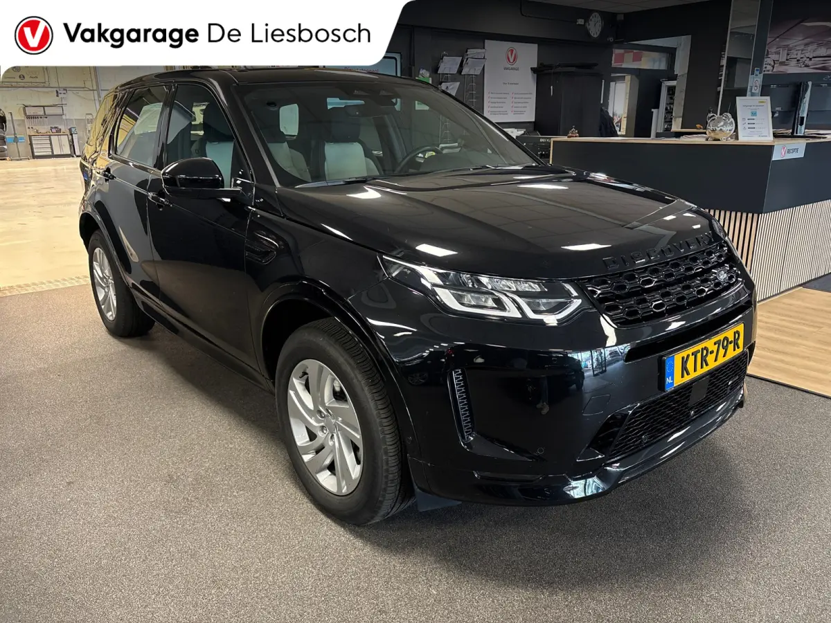 P300e 1.5 R-Dynamic SE/leer/navi/camera/elc klep/boeken