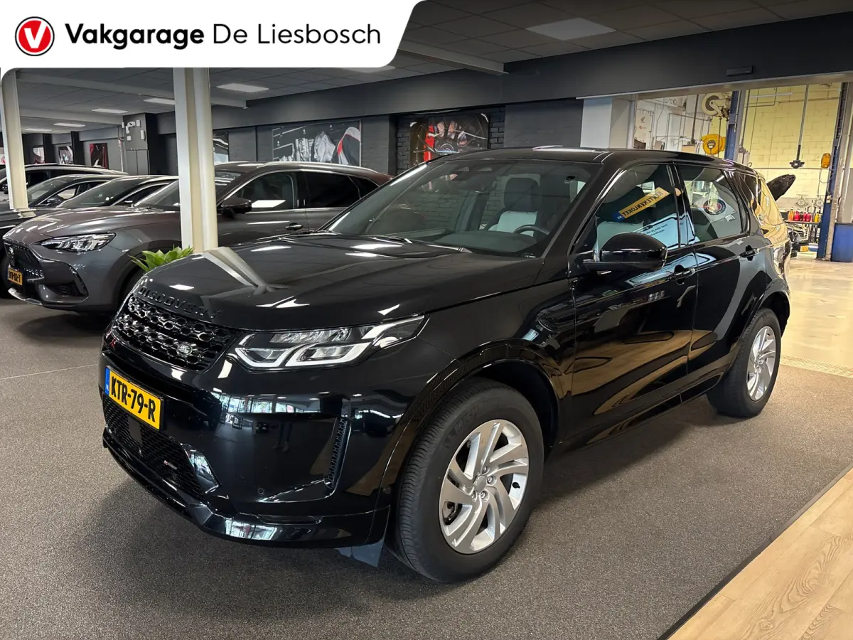 P300e 1.5 R-Dynamic SE/leer/navi/camera/elc klep/boeken