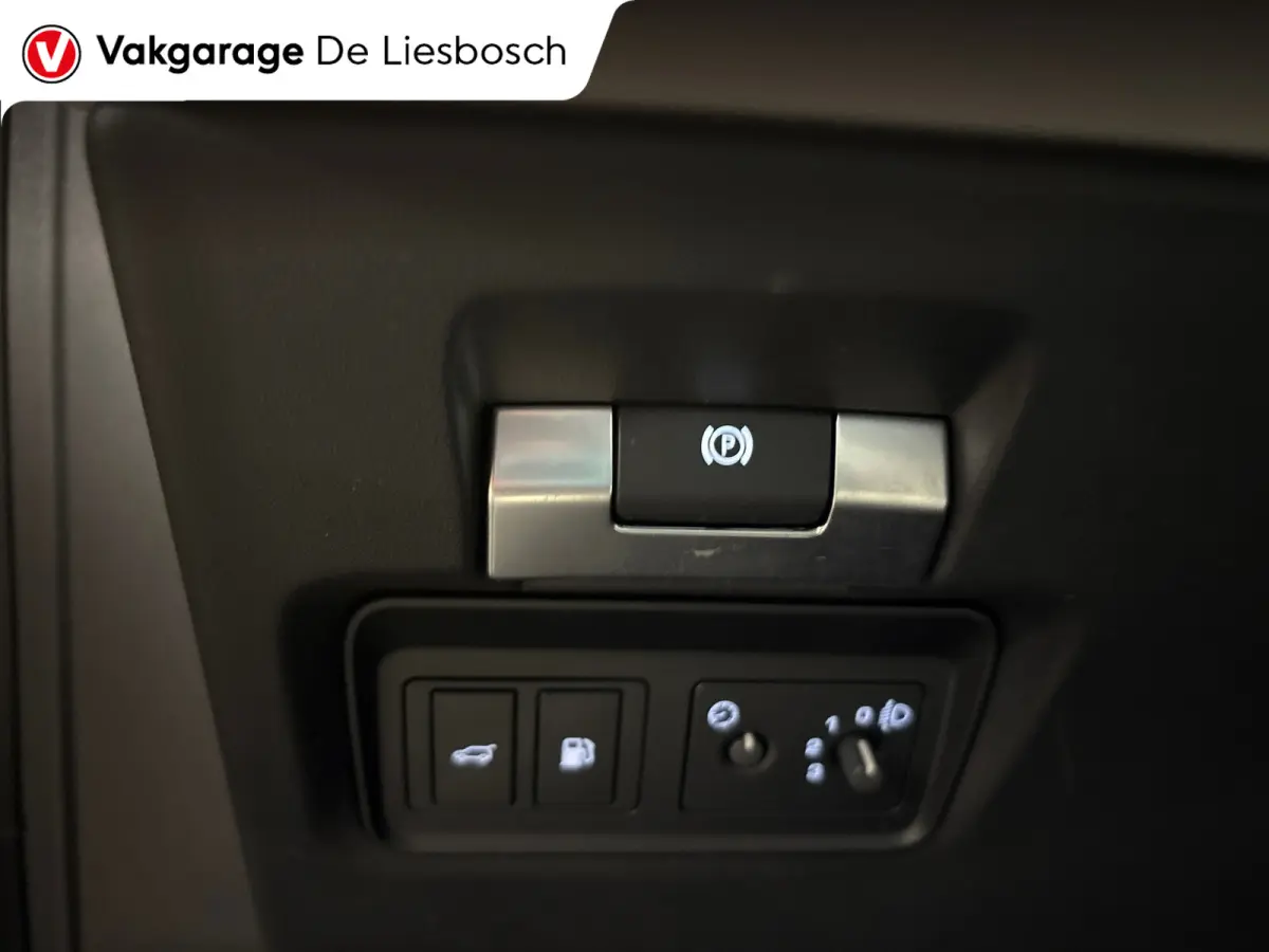 P300e 1.5 R-Dynamic SE/leer/navi/camera/elc klep/boeken