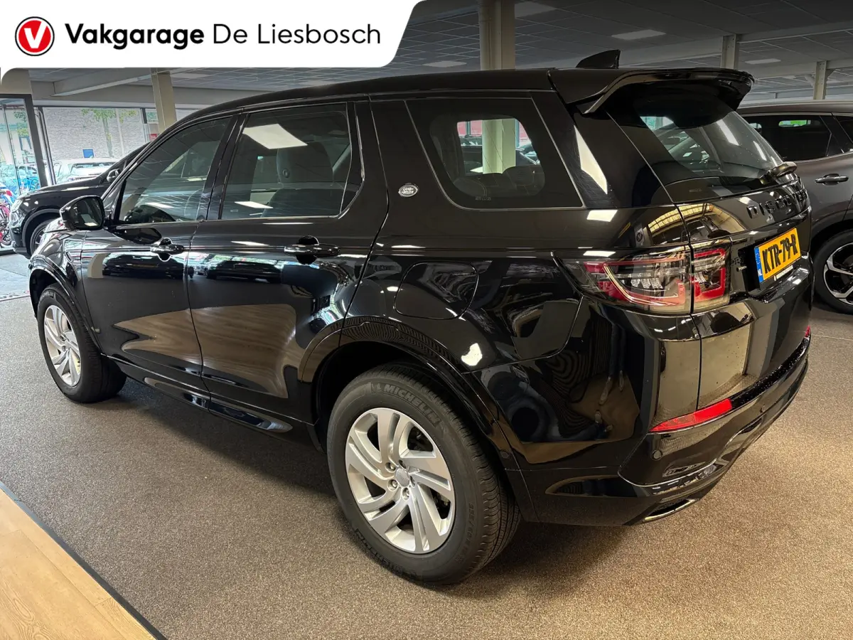 P300e 1.5 R-Dynamic SE/leer/navi/camera/elc klep/boeken