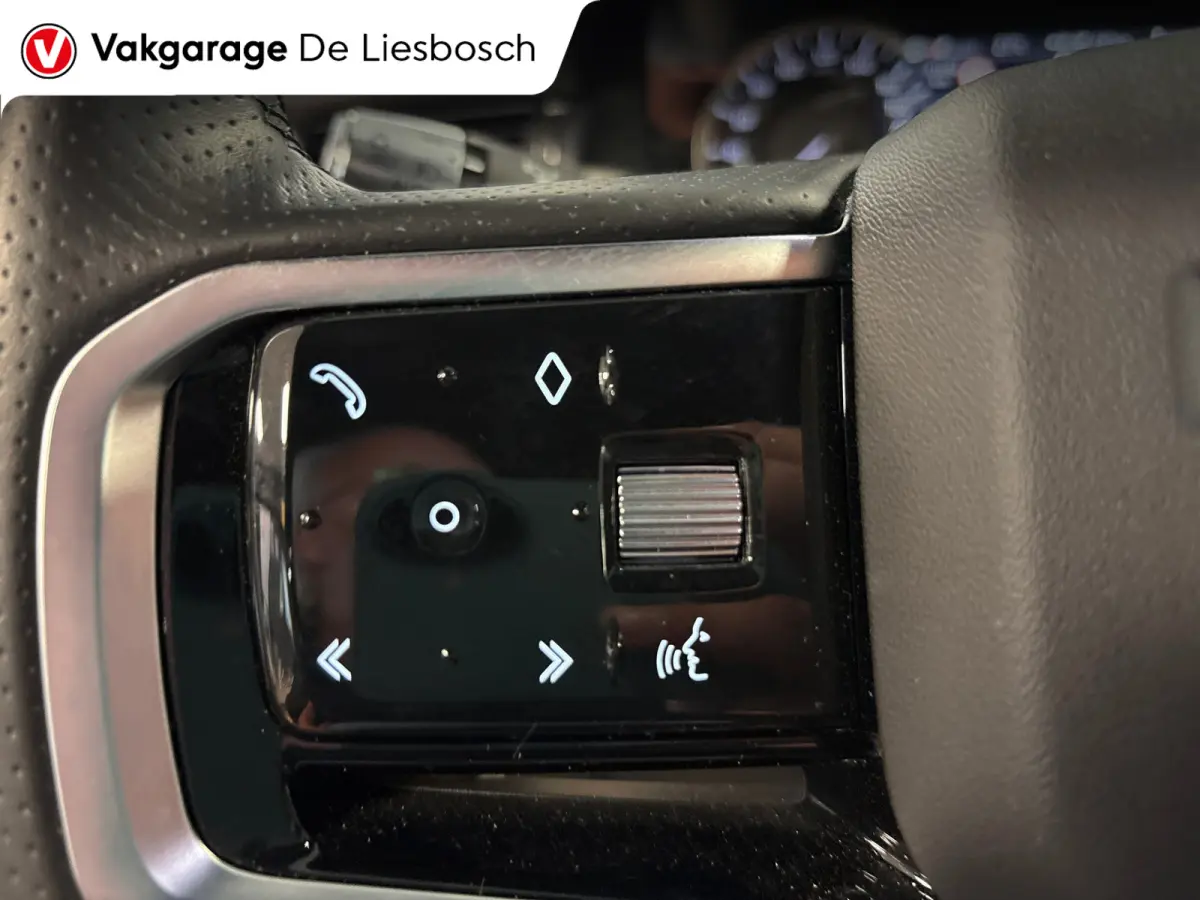 P300e 1.5 R-Dynamic SE/leer/navi/camera/elc klep/boeken