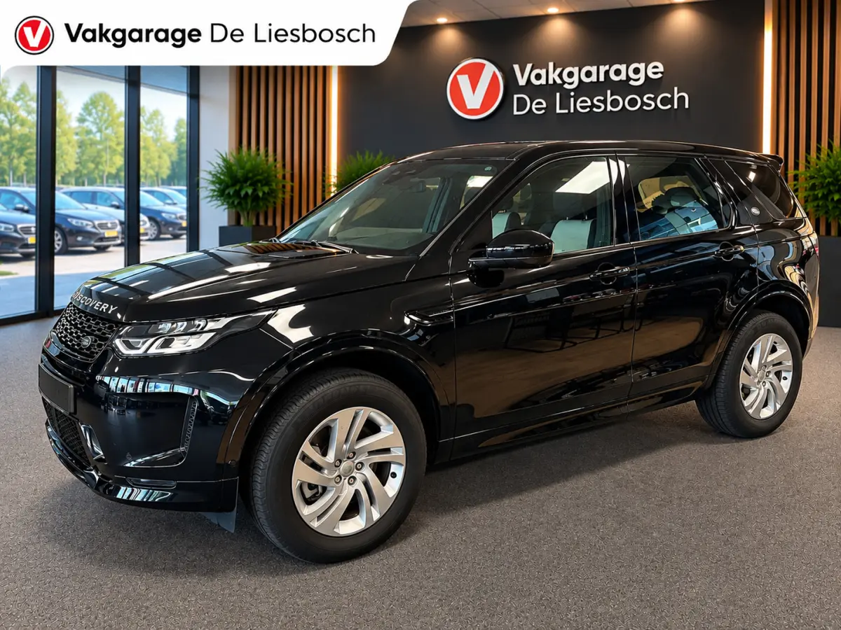 P300e 1.5 R-Dynamic SE/leer/navi/camera/elc klep/boeken